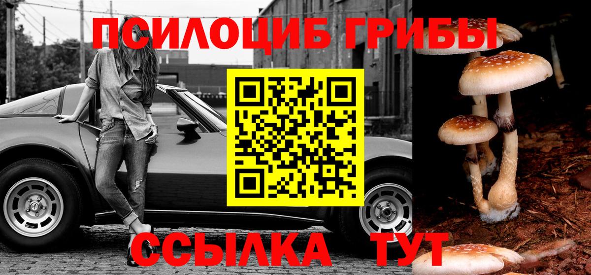 Екатеринбург  Галлюциногенные грибы мицелий  купить наркоту  Псилоцибиновые грибы мицелий  Вход с VPN 